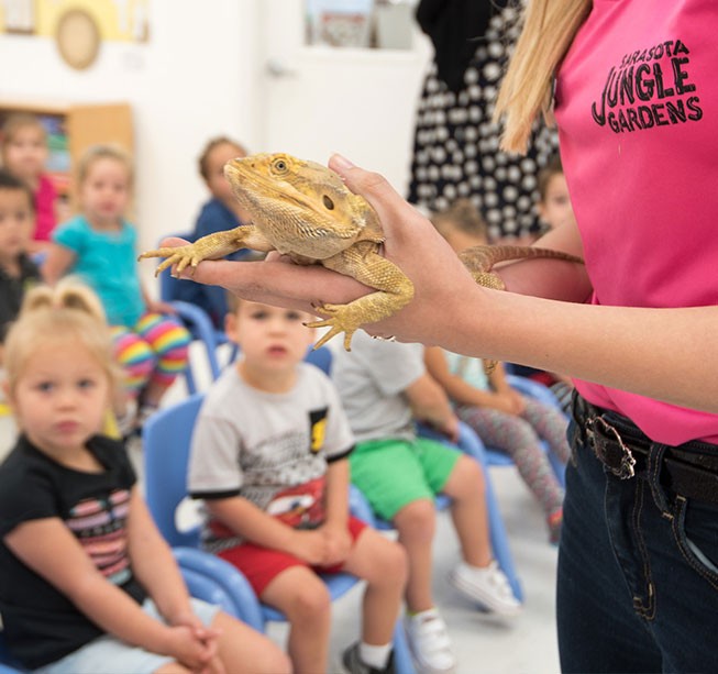 sarasota jungle gardens